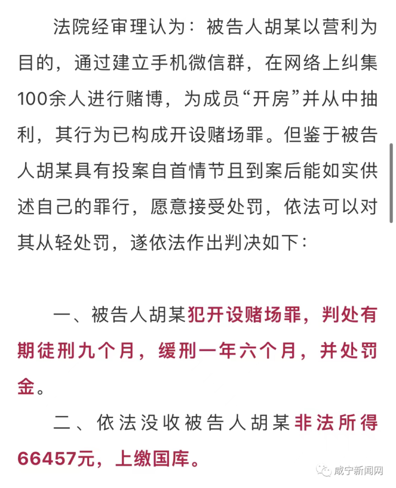 关于一肖一码一中一特，精选解释解析落实与违法犯罪问题的探讨