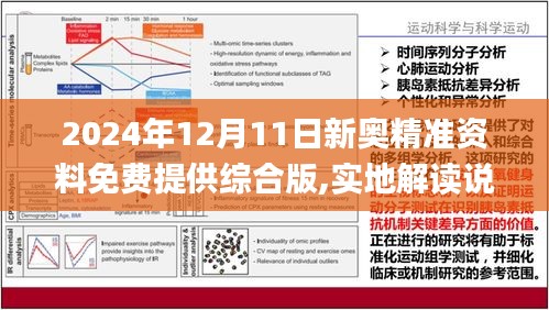 揭秘2024新奥全年资料免费大全，精选解释解析落实