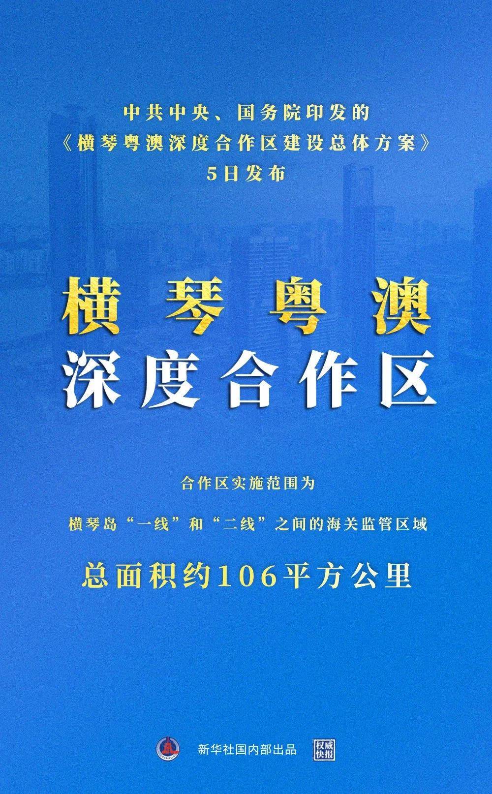 新澳免费资料解析与落实策略，走向成功的关键步骤（第40期深度解析）