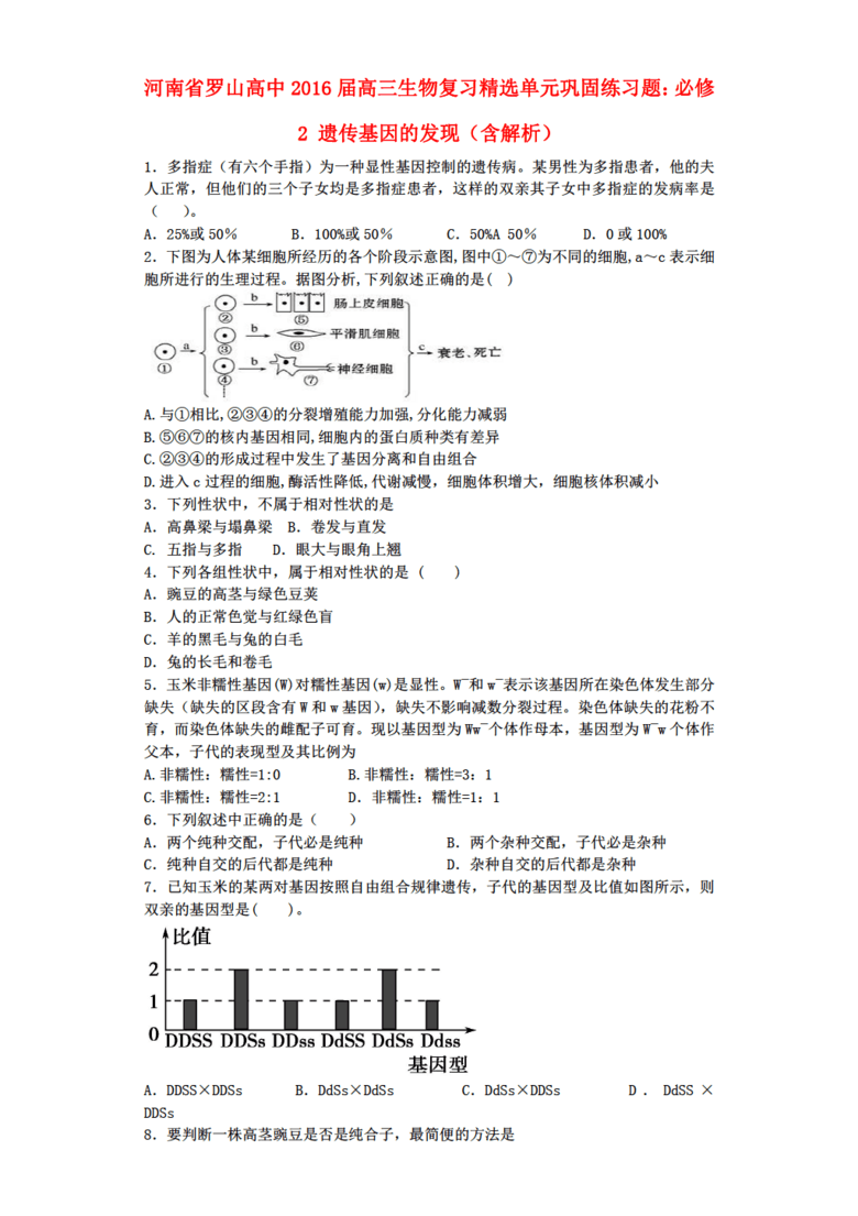 解析落实新澳正版免费资料的三大特点与精选解析策略