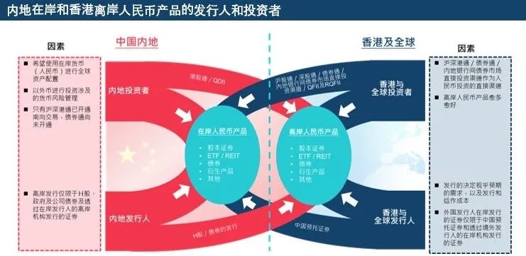 2024香港资料免费大全最新版下载，精选解析与落实策略