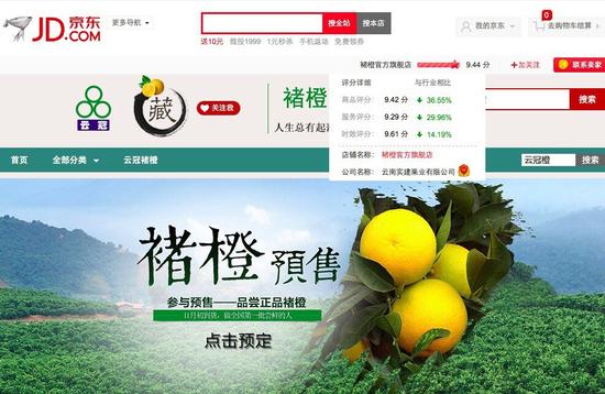 探索水果世界，4949正版免费资料大全的精选解析与落实