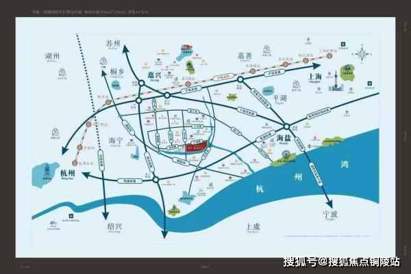 关于四不像正版最新版本的解析与落实策略