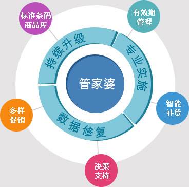 精准管家婆，深入理解与解析落实策略