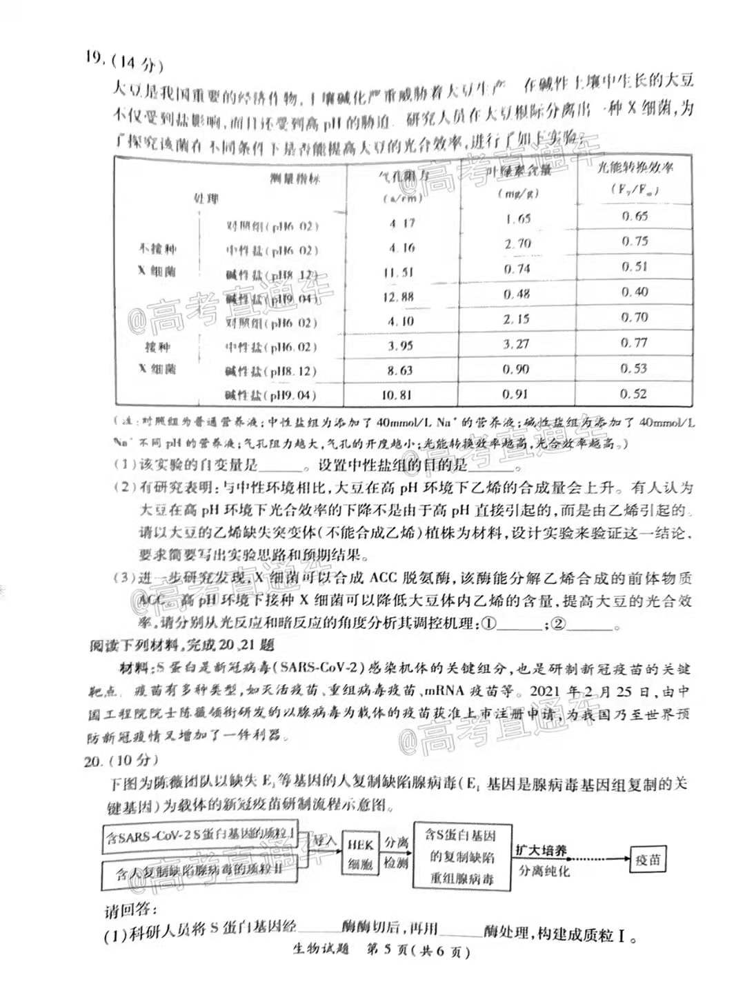 澳门开奖结果及开奖记录表精选解析与落实