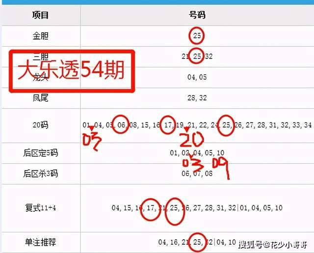 澳门六开奖结果2024开奖今晚，解析背后的风险与警示