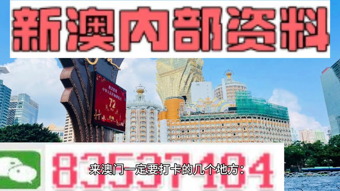 2024新澳最快最新资料|精选解释解析落实,揭秘2024新澳最新资料解析与落实策略