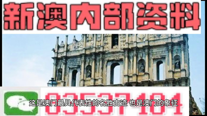 2024新澳门精准资料免费大全|精选解释解析落实,揭秘2024新澳门精准资料大全，精选解析与落实策略