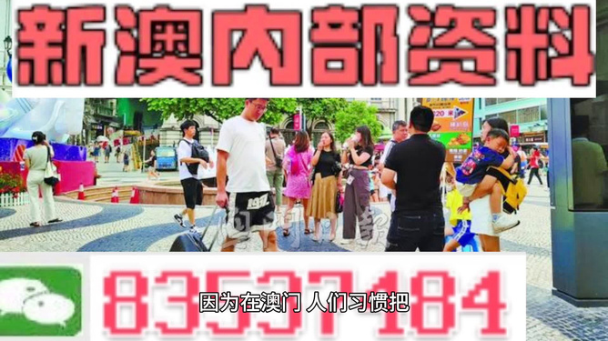 2024澳门资料精准大全|精选解释解析落实,澳门资料精准大全，解析与落实精选解释