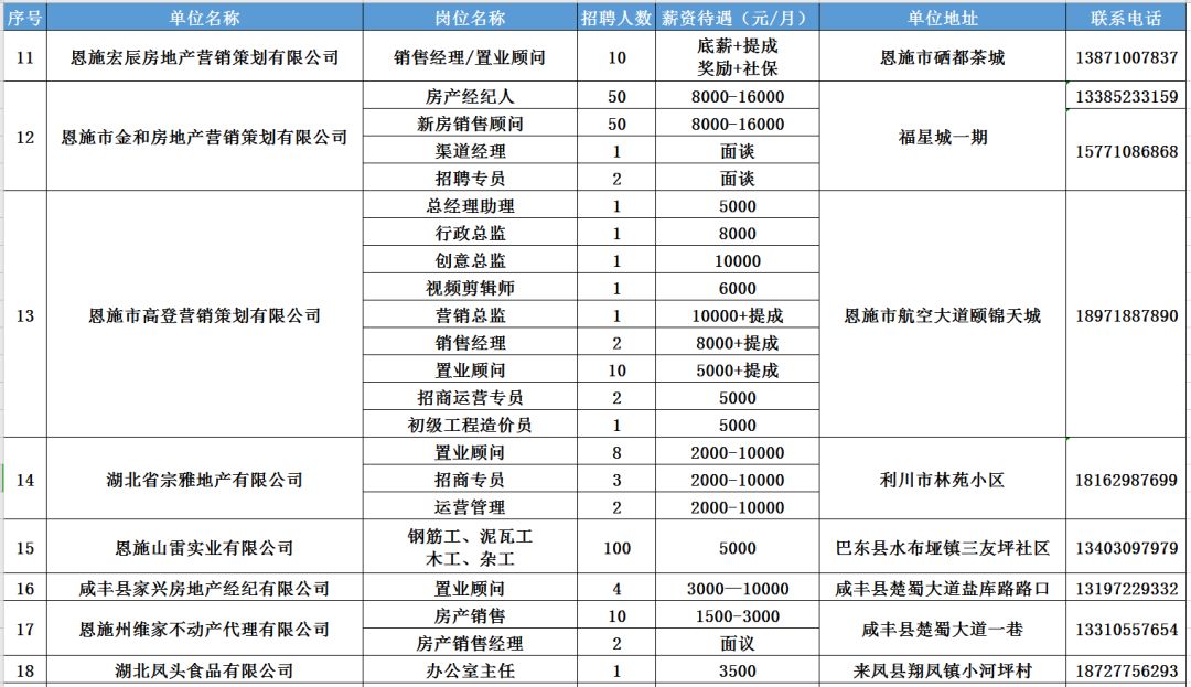 恩施招聘网最新招聘,恩施招聘网最新招聘动态深度解析